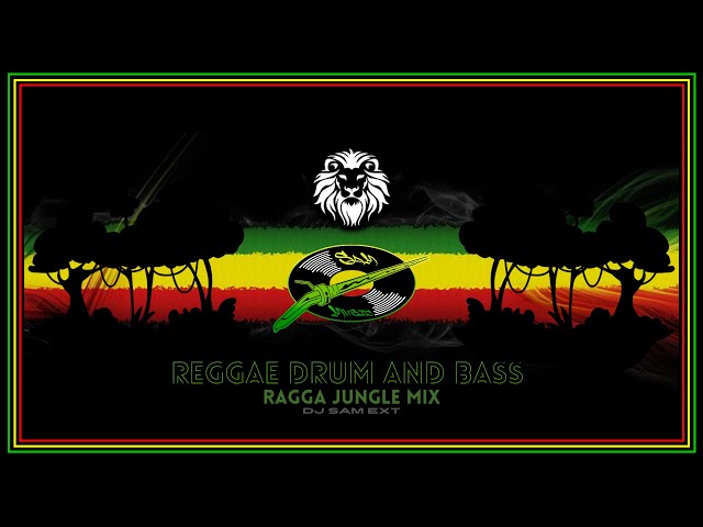 REGGAE DRUM u0026 BASS - RAGGA JUNGLE MIX class=