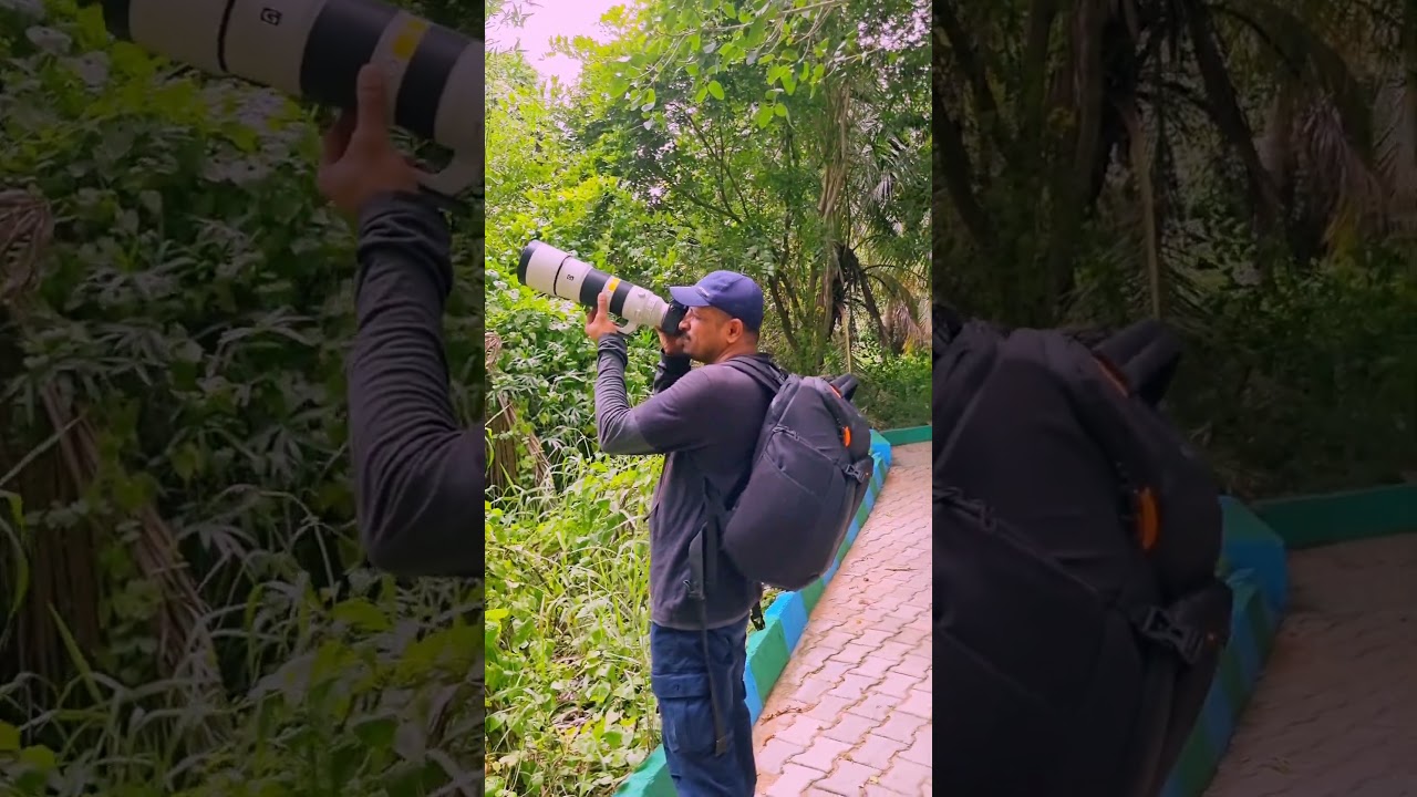Ranganathittu Bird Sanctuary | Srirangapatna | GG Film Studio | Wild life Videography