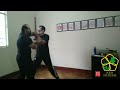 Chi Sao Leung Bai Muk - 1