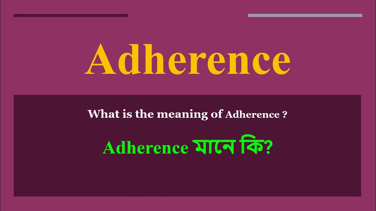 what-does-adherence-means-meanings-and-definitions-with-example-in