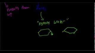 Hydrolysis and Dehydration Synthesis