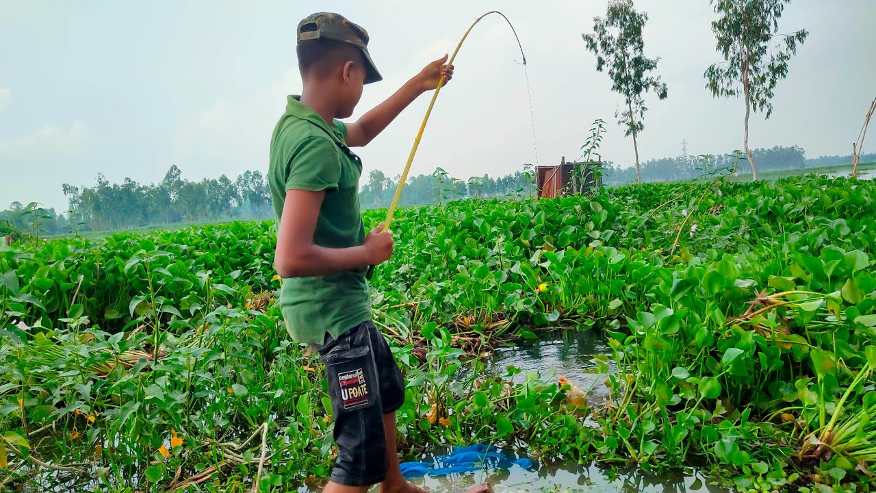 Best Hook Fishing Video 2022 Traditional Boy Catching Big Fish