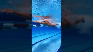 @LEARNHOWTOSWIM Freestyle Swimming Technique | Stroke next