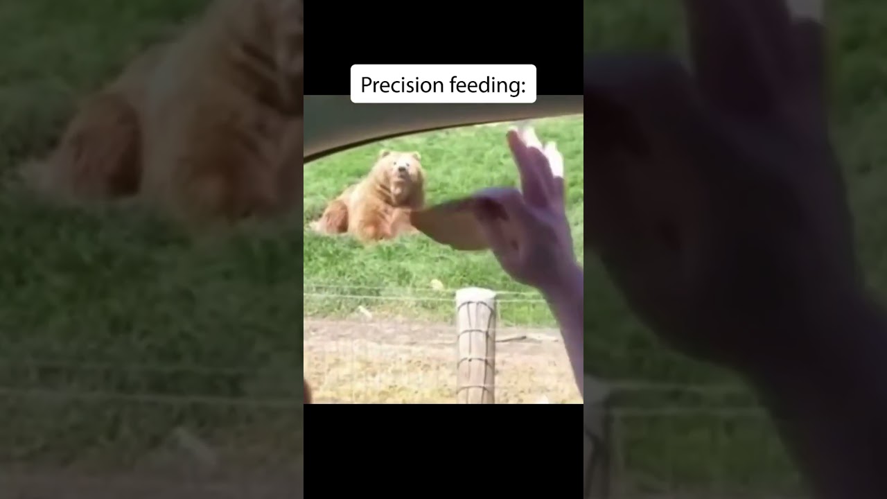 👨‍💼 Real Estate Success with Targeted Strategies 