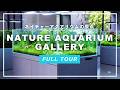 【アクアリウム】まるで美術館!ADA NATURE AQUARIUM GALLERY 2025 全水景を紹介!日本発祥の水と植物の芸術『ネイチャーアクアリウム』の聖地を紹介!【水草水槽】