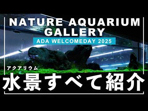 Aquarium] Like an Art Museum! Introducing All Displays at the ADA