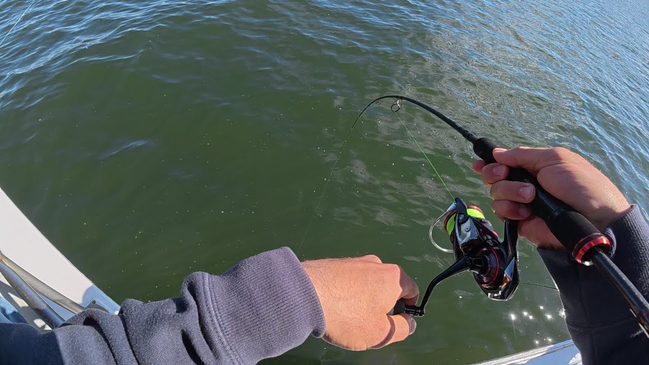 Great Fluke Fishing aboard Sea Tiger II NJ
