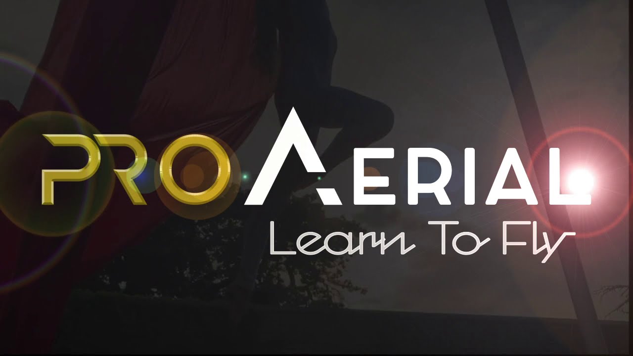 PRO Aerial - Logo Reveal