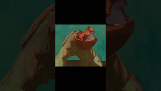 Extremely rare dancing turtle