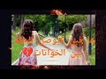 ها فين كيوصل الحقد والغيرة بين الخواتات المغرب قصص عربية اكسبلور الجزائر تونس روايات قصص 