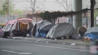Sheriff urges inclusion of law enforcement in Sacramento’s homelessness response