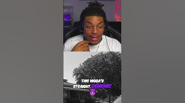 GTA in Real Life: Cop Begs Suspect to Release Human Shield