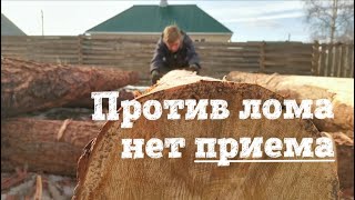 Строительство трапезной (русская изба) #1