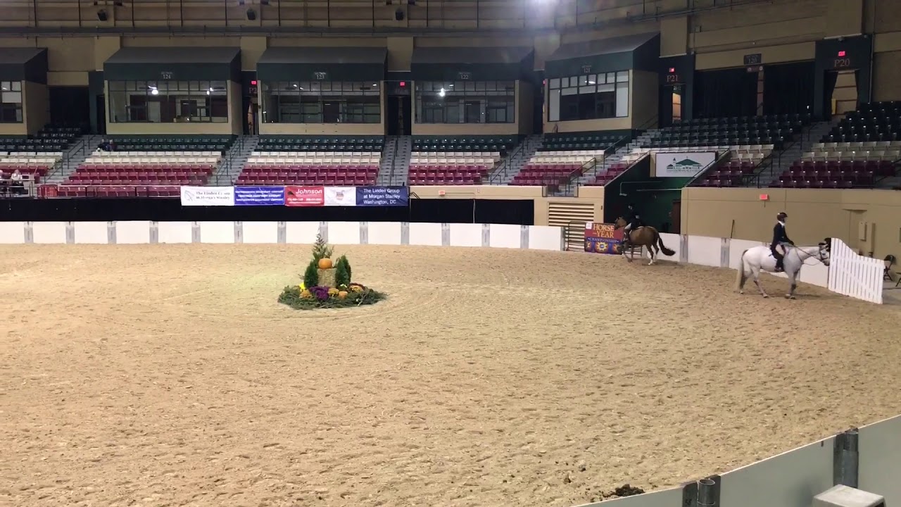 “Starstruck” aka Stella Zone 3 Finals