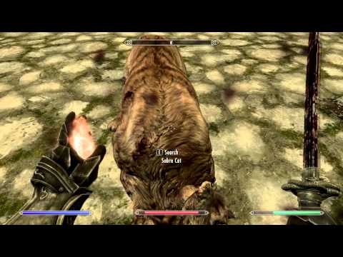 Skyrim Mod - Battle Tower