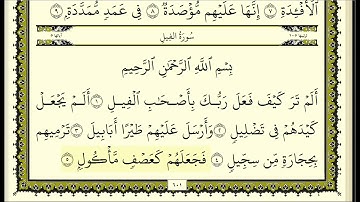 سورة العصر & الهمزة & الفيل مكررة عشر مرات - ماهر المعيقلي - مكتوبة - حفظ القرآن الكريم - الصفحة 601