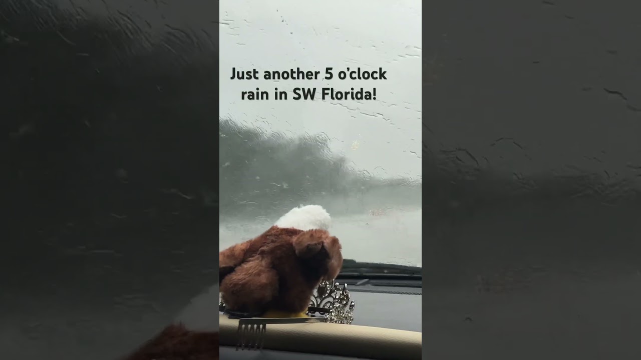 My wife’s dashboard tribute to Harriet the famous Southwest Florida bald eagle. 