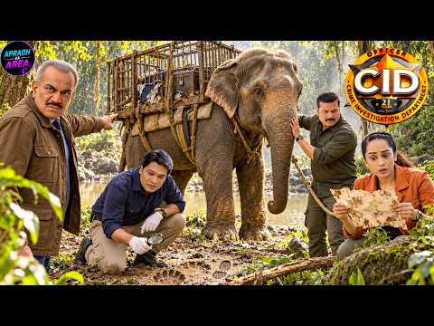CID की जांच में हाथी बना सबसे बड़ा गवाह, देखकर सब रह गए हैरान || CID || New Episode 2026