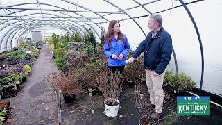 Richard Weber - Springhouse Gardens Cutting Flowering Shrubs Back