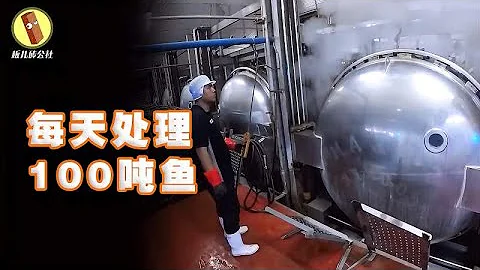 探訪韓國食品加工廠，帶你看鰹魚的處理過程和金槍魚罐頭加工過程 - 天天要聞