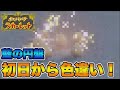 藍の円盤配信初日に色違い○○を出してしまう男 【ポケモンSV】
