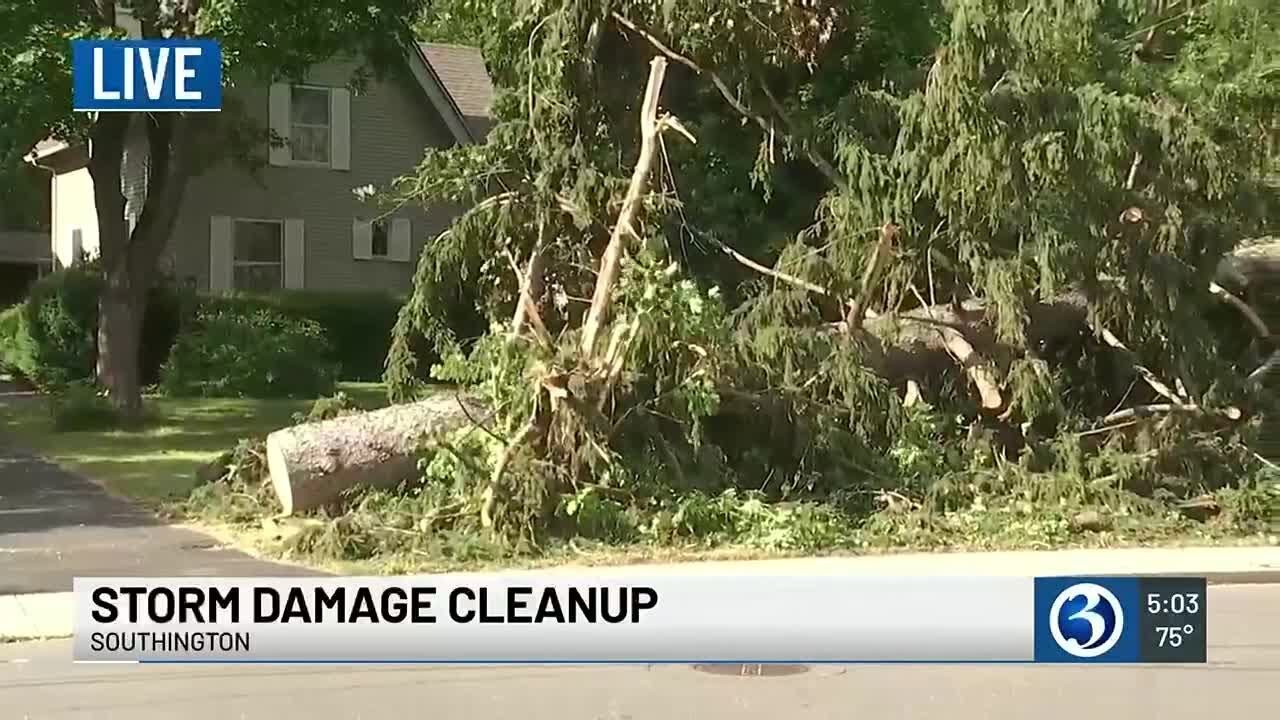 Storm damage cleanup continues in Southington - YouTube