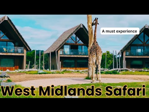 INSANE UK SAFARI
