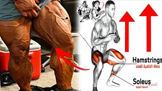 أقوى تمارين الأرجل -  لتضخيم وتقوية عضلات الارجل في البيت فقط (Legs workouts)