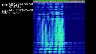 The Buzzer/UVB-76(4625Khz) May 8th, 2023 Voice messages