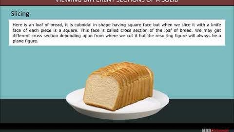 Visualising Solid Shapes | Class 7