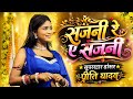 Sajni Re Ye Sajni | सजनी रे ये सजनी | श्याम कुटेलिहा स्टेज प्रोग्राम थेम्हापार | Shyam Kuteliha Cg 