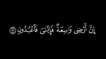 {كل نفسٍ ذائقة الموت}🍁كروما شاشة سوداء قرآن كريم🍁 القارئ محمد ديبيروف🍁سورة العنكبوت