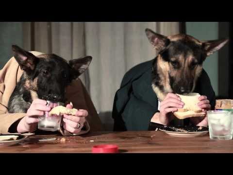 Odin and Pippin Try To Have Dinner Together