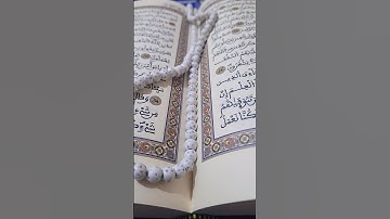 سورة النحل القاريء محمد الفقيه 🤍🧡