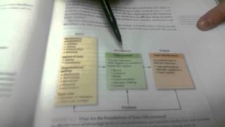 MGMT 3100 "Team and Teamwork Chapter 14 Pres."