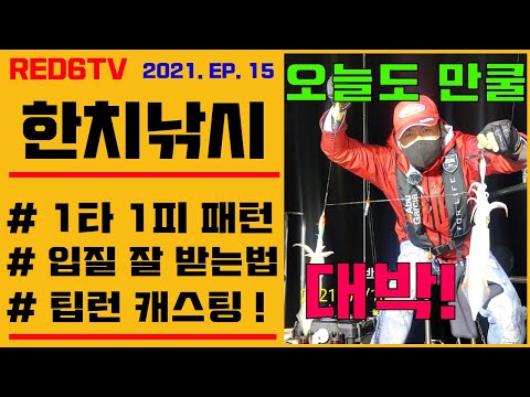 한치낚시 - 1타 1피 패턴, 입질 잘 받는 법! (팁런 캐스팅, 한치이카메탈)