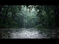 Deep Tropical Jungle Rain Ambience 🌧️ — Peaceful Sounds for Sleeping, Reading & Focus
