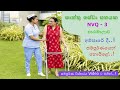 Commencement of Care Giver & Electrician Course - Ampara NAITA District Training Center - 2023