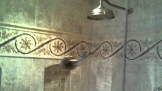 Euro Shower Door Enclosure