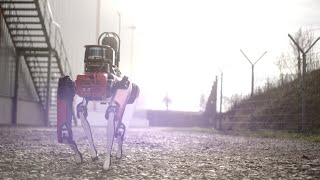 Security Robots: Security & Surveillance