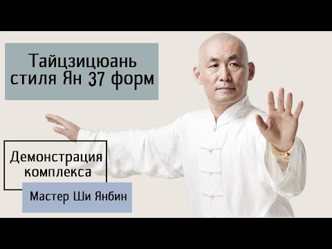 Мастер Ши Янбин Тайцзи Ян 37 форм