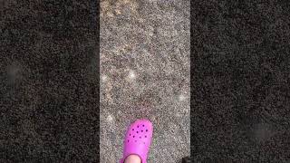 WALKING ON AIR?!! #fairyrp #fairygirl #fairy #aesthetic #shorts #rp