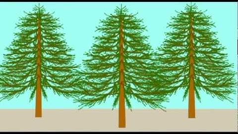 PL JOURNAL9: PLANT FOSSILS: TESTING EVOLUTION, CREATION, DESIGN MODELS