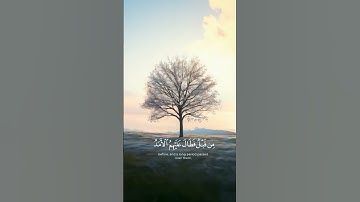 #ارحقلبك #تلاوة_خاشعة #قرآن #quran #راحة_نفسية #لايك #حالات_واتس #duet #اكسبلور #ترند