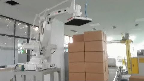 WIN-WIN PACK robot palletizer machine