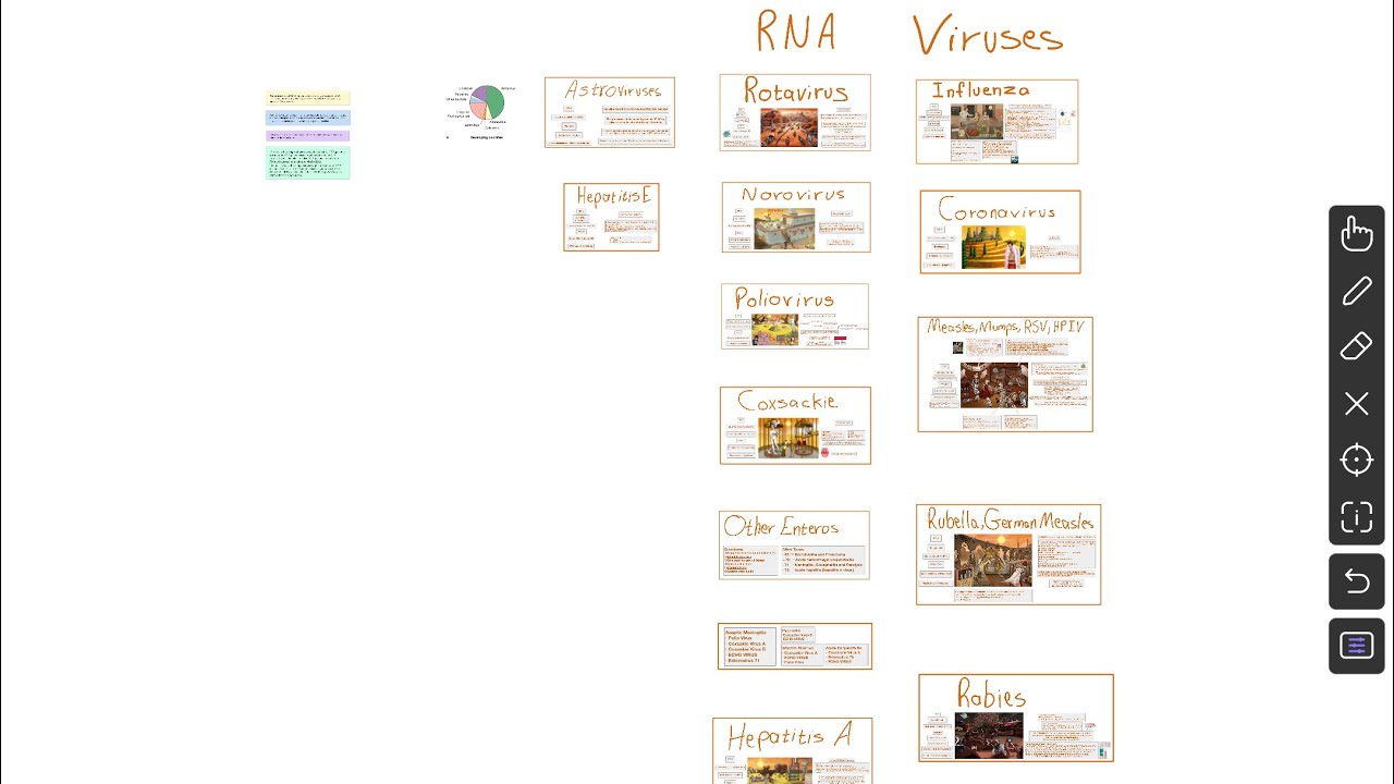 Virology Microbiology Overview | RNA Viruses I - YouTube