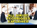 [Aikido Tutorial] All Techniques Introduced