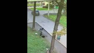 kid falling into a manhole but I put Mario music over it