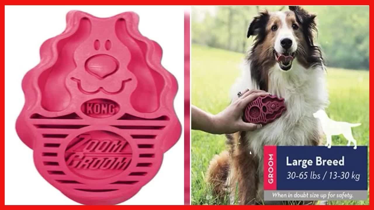 KONG Zoom Groom MultiUse Dog Brush Pink YouTube