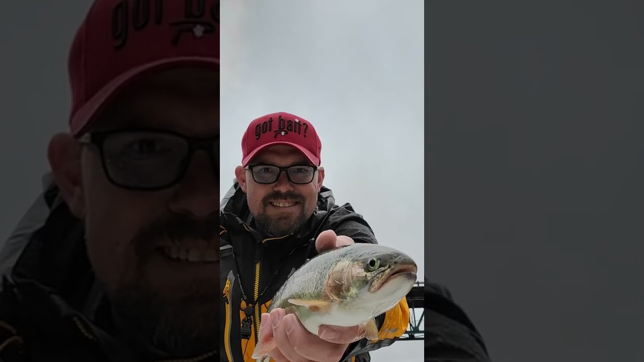 Railing Rainbow trout with Busch Mountain Fishing Guide Service.